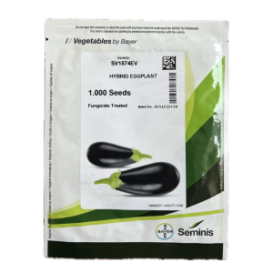 بذر بادمجان هیبرید SV1574EV سمینیس